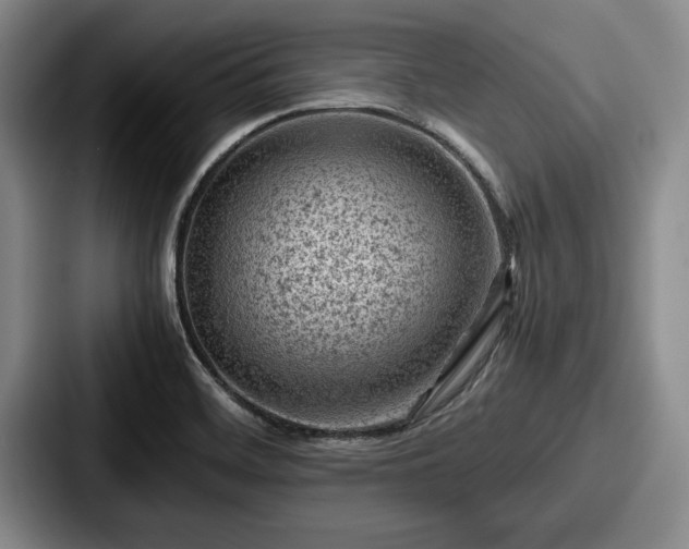 X0000087671468200705111148