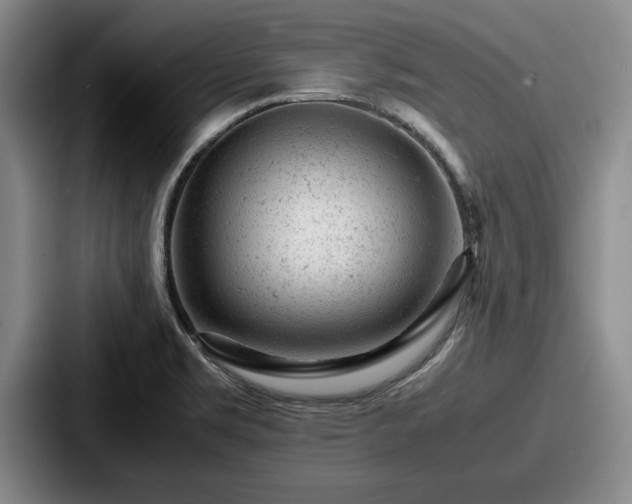 X0000087671469200705111148