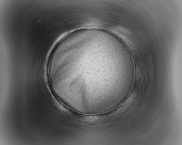 X0000087671470200705111148