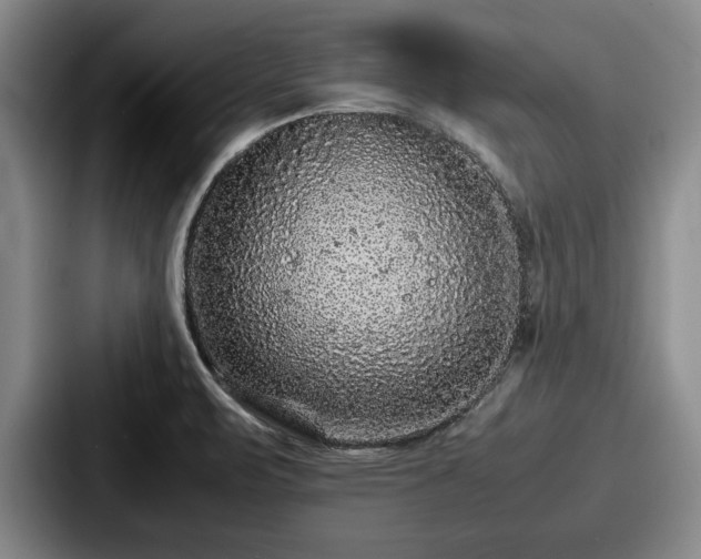 X0000087671471200705111148