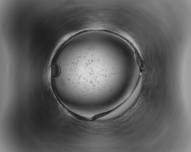 X0000087671472200705111148