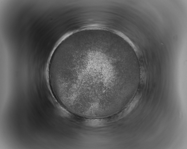 X0000087671474200705111148