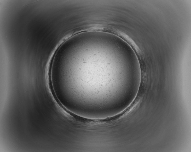 X0000087671475200705111148