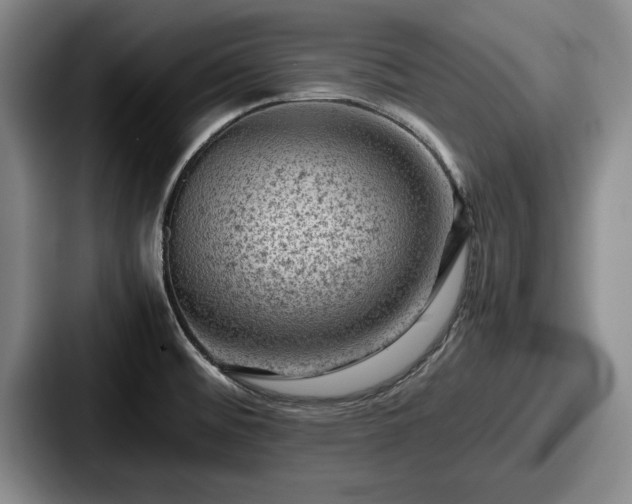 X0000087671476200705111147