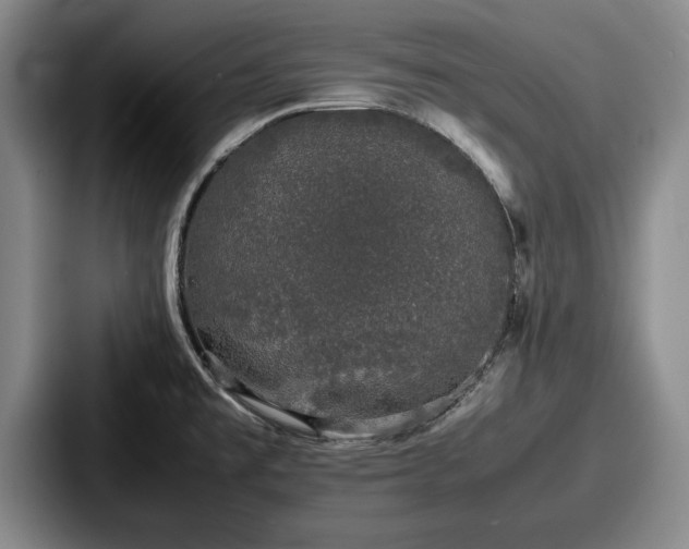 X0000087671477200705111147