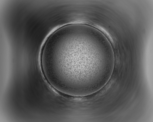 X0000087671480200705111147