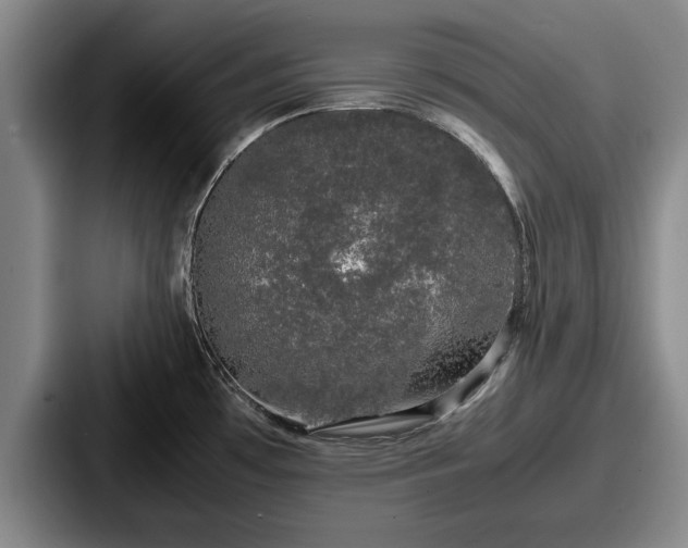 X0000087671481200705111147