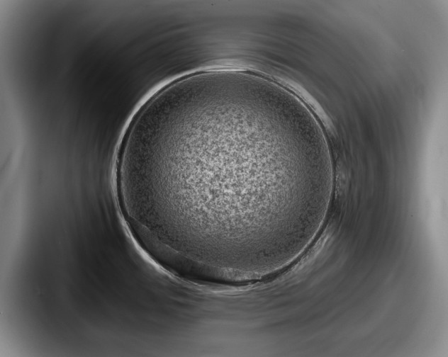 X0000087671484200705111147