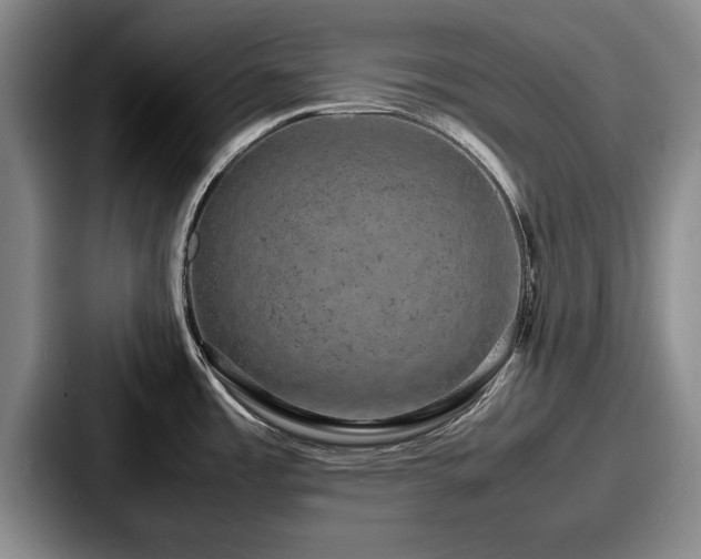 X0000087671485200705111147