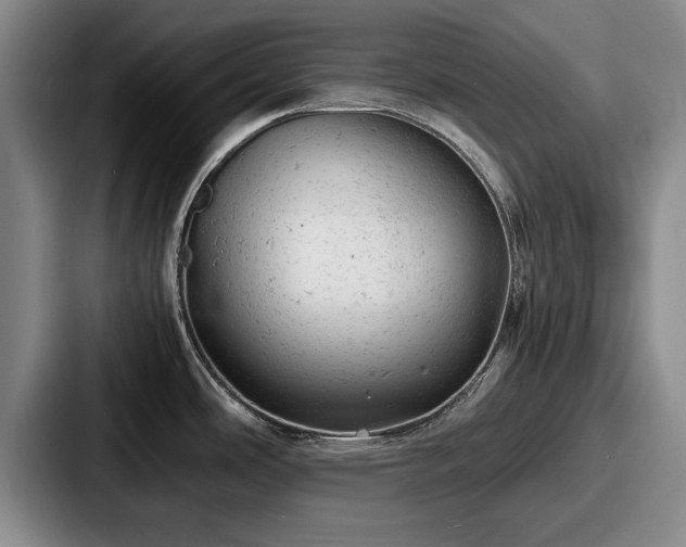 X0000087671486200705111147