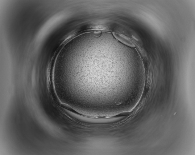 X0000087671487200705111147