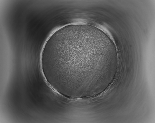 X0000087671488200705111147