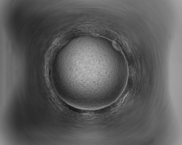 X0000087671489200705111147