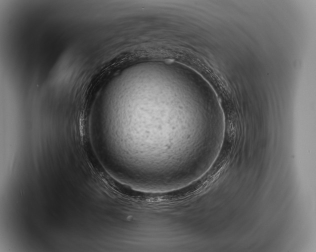 X0000087671490200705111147