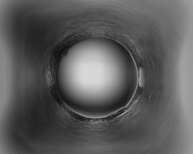 X0000087671491200705111147