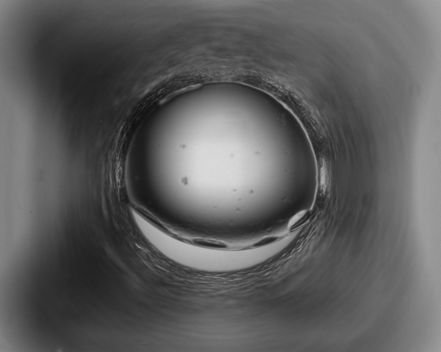 X0000087671492200705111147