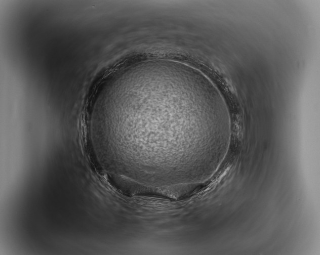 X0000087671493200705111147