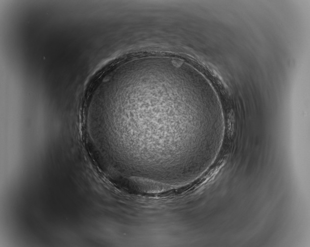 X0000087671494200705111147