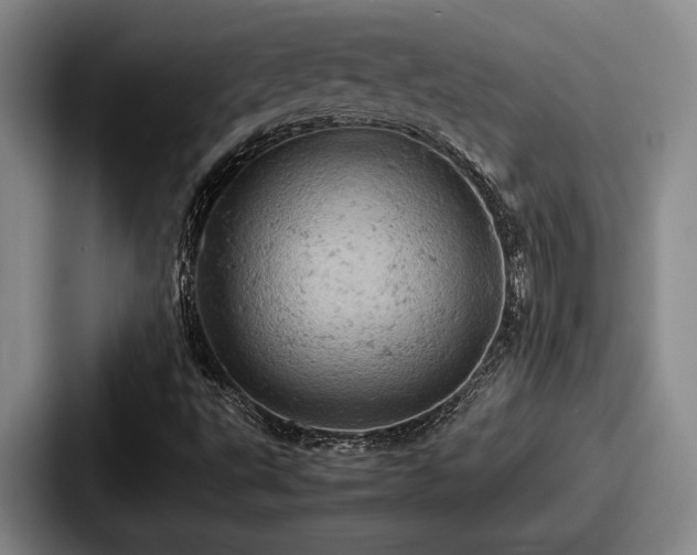 X0000087671495200705111147