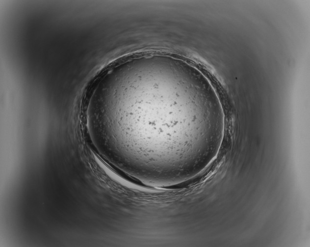 X0000087671496200705111147