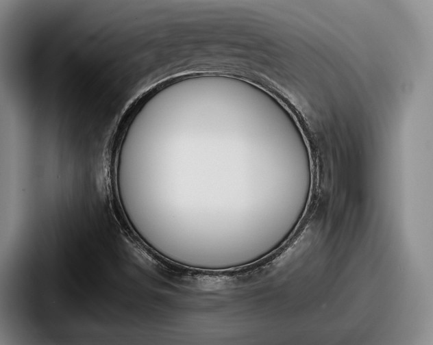 X0000087671498200705111147