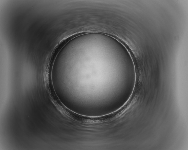 X0000087671499200705111147