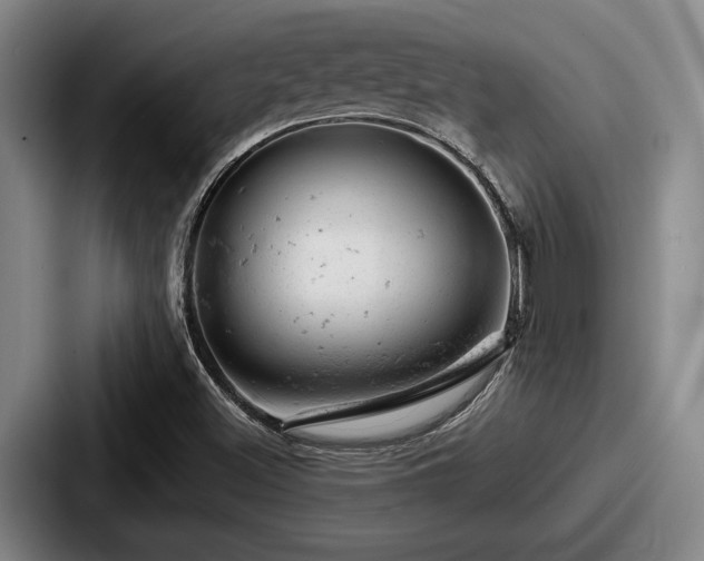 X0000087671500200705111147