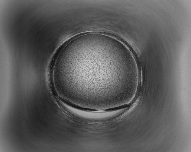 X0000087671501200705111147