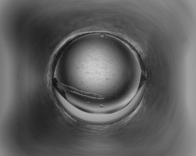 X0000087671502200705111147