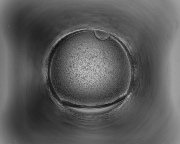 X0000087671503200705111147