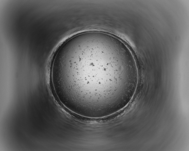 X0000087671504200705111147