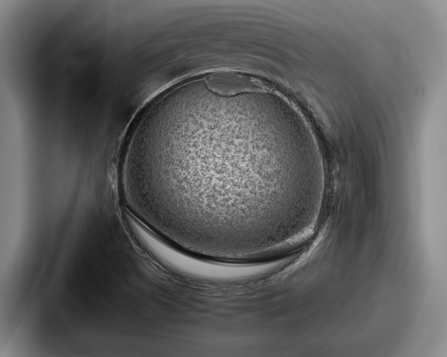 X0000087671505200705111147