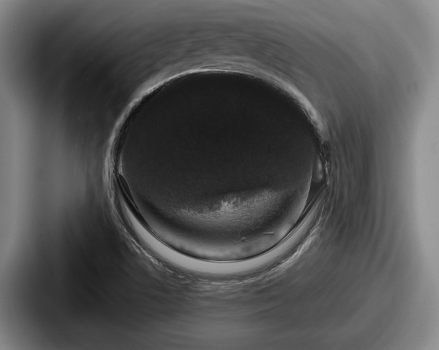 X0000087671506200705111147