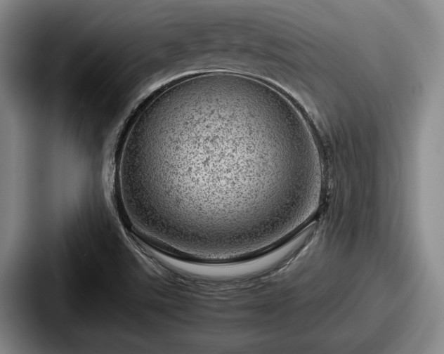 X0000087671507200705111147