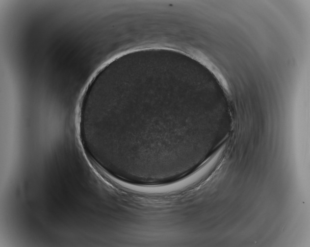 X0000087671508200705111147