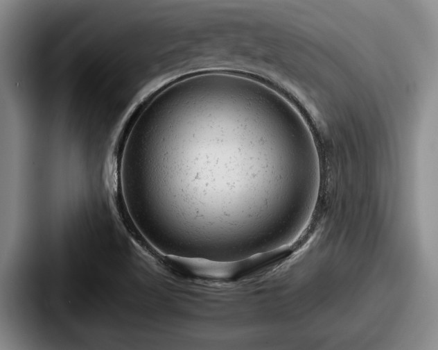 X0000087671509200705111147