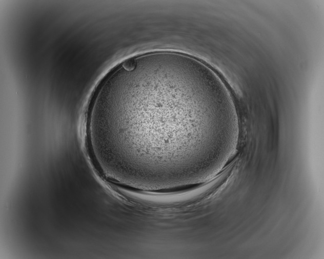 X0000087671511200705111147