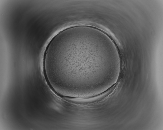 X0000087671512200705111147