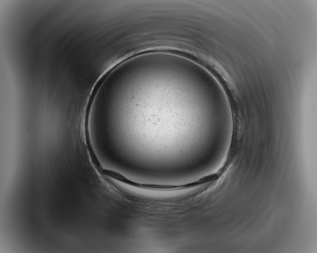 X0000087671513200705111147