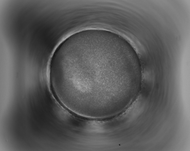 X0000087671514200705111147