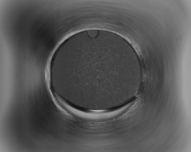 X0000087671515200705111147