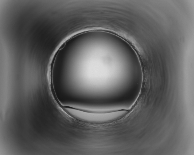 X0000087671516200705111147