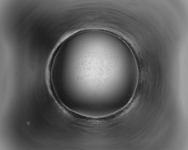 X0000087671517200705111147