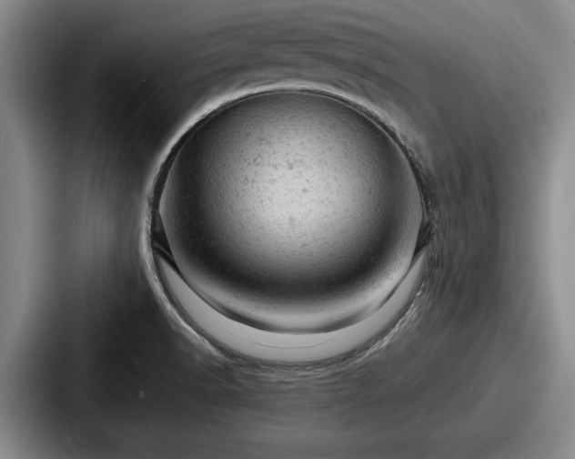 X0000087671518200705111147