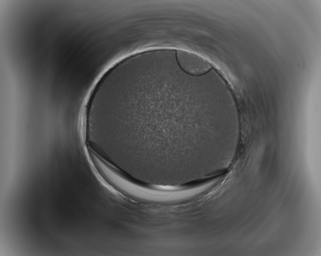 X0000087671519200705111147