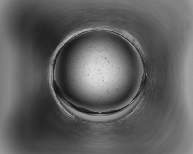 X0000087671520200705111147