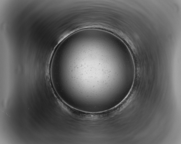 X0000087671521200705111147