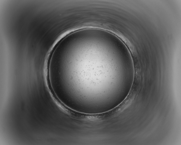 X0000087671523200705111147