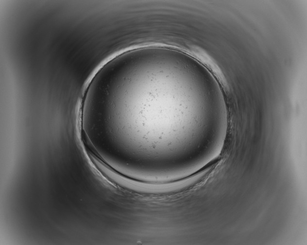 X0000087671524200705111147