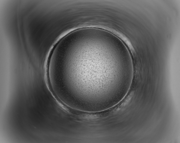 X0000087671525200705111147